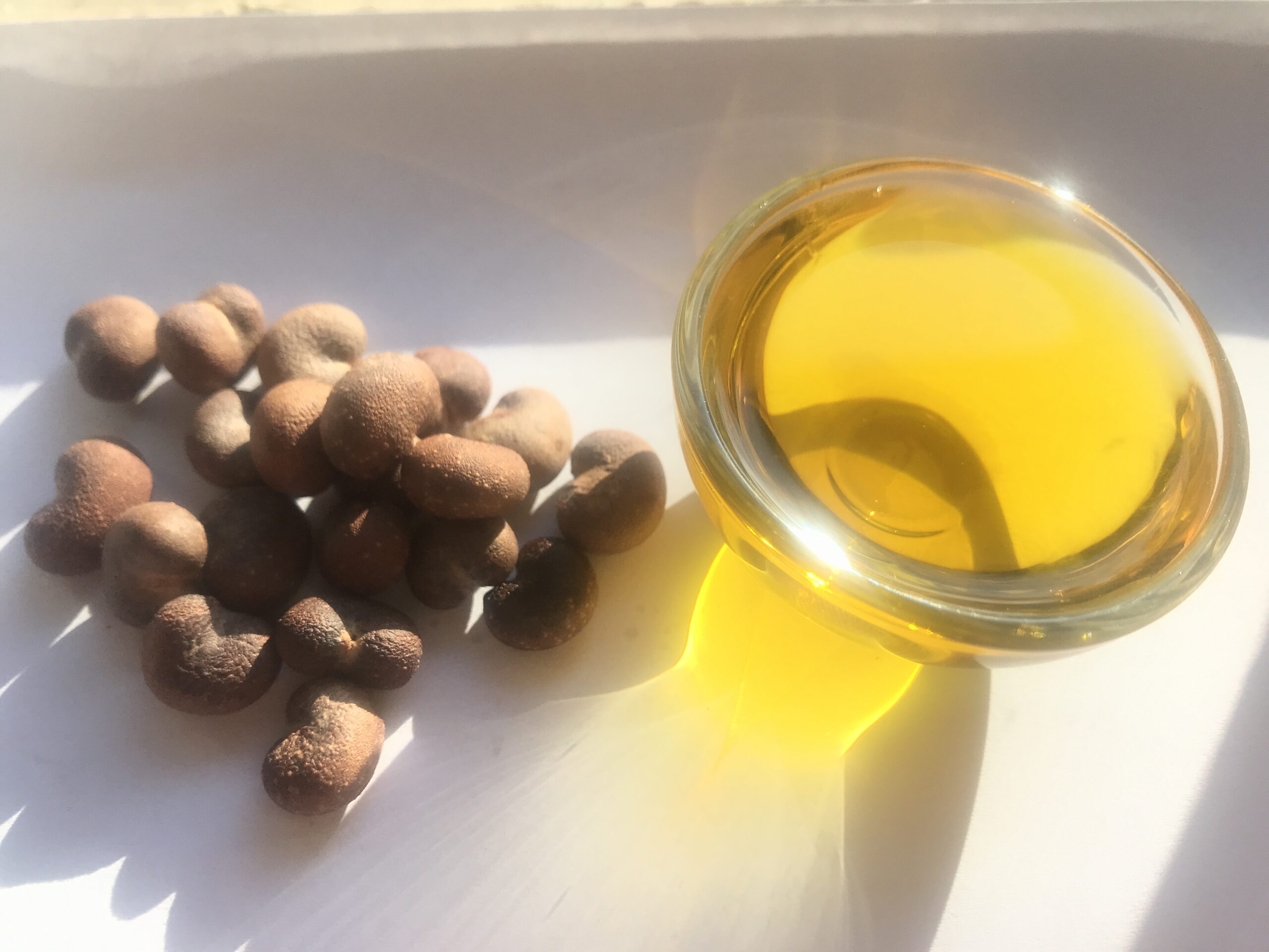 Baobab Oil IMG_6813