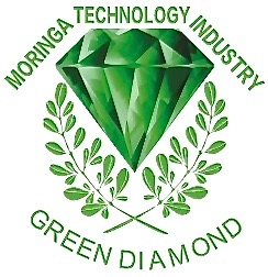 Moringa Technologies_Logo