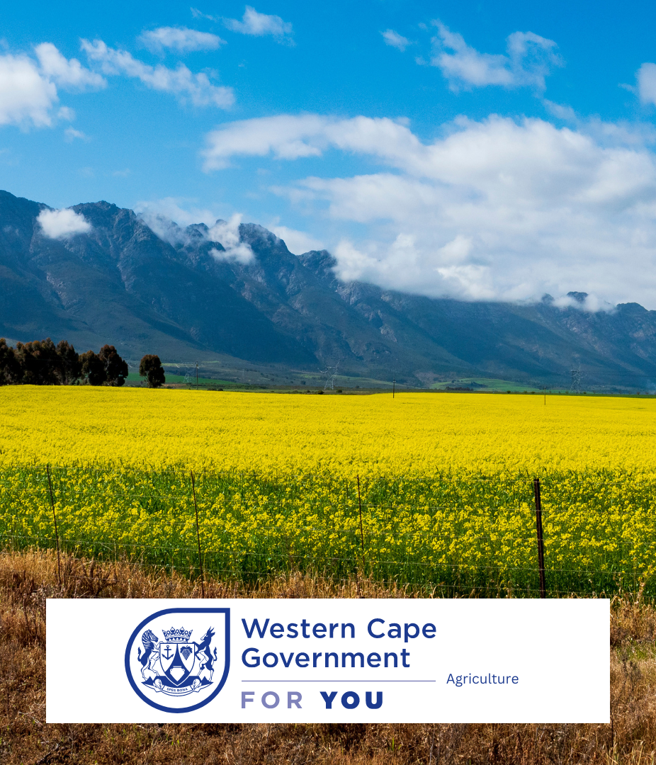 WCG boland (926 × 1080 px)(1) Department of Agriculture
